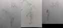 PXL_20250604_155222666 merge