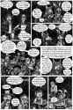 IMAG002 (12)
