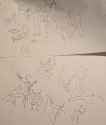 PXL_20250604_220402194.MP~2