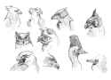 birds