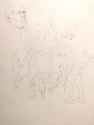 PXL_20250605_011125617~2