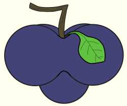 Five Orb Fruit