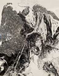 rsz_1coll_img_7369