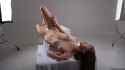 DSC_0738 (FILEminimizer)