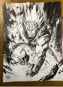 goku