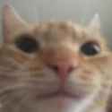 75850404ff3478f2dd4c0542640b6a94