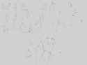 1742654901428968