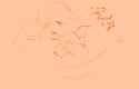 43732551-1800-44B5-9B9A-F6A067FC5C39~2