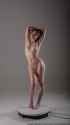 Refimages_ComDSC_7009_small
