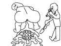 coolturtle