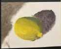 lemonssss