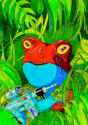 stargone frog