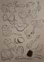 organic shapes