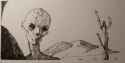 cute skelly