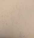 PXL_20250701_203306401~2