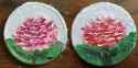 Camellias