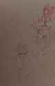 PXL_20250702_204025208.MP~3
