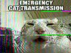 219 KB