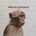 Neuron_Activation.jpg