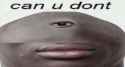 13 KB