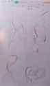 402 KB