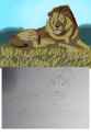 1.59 MB