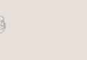 1.41 MB