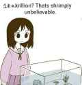 22 KB