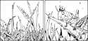 Rule 34 Rule 34 Image