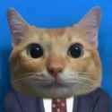 Cat businessman