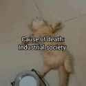 cause of death industrial society