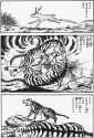 二虎競食②
