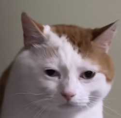 1746683138320181