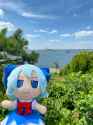 cirno spring
