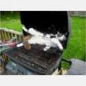 self_cooking_kot