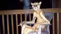 Cursed_cougar_smoking_cover