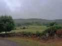 pepedosmontes29
