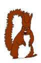 squirreljak