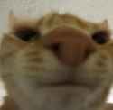 1610320471165
