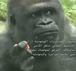 FvAL_lYWwAAJP0a