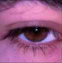IMG_20240611_200742