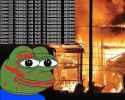 pepe accelerated