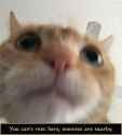 1747930056234476