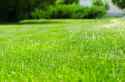 shutterstock_451802401