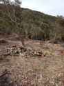 IMG-20230424-WA0007