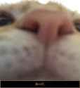 1535310977918