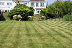 grass-220465_1280