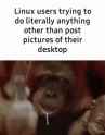 1739810002239542