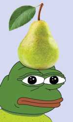 1740552197825887
