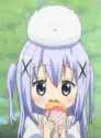 chino 127